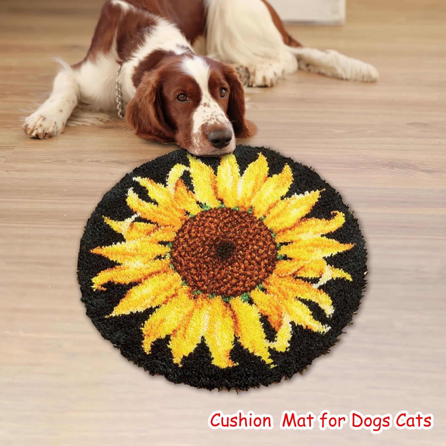 Knüpfhaken-Teppich-Set, Sonnen – Embroidery X Pattern Bewertung und Preis